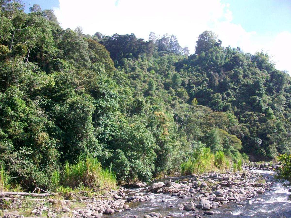 Kasaguadua - Reserva Natural Salento Exterior foto
